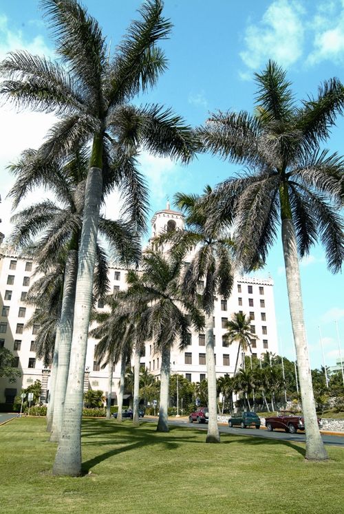 'Hotel Nacional de Cuba - entrance' Check our website Cuba Travel Hotels .com often for updates.
